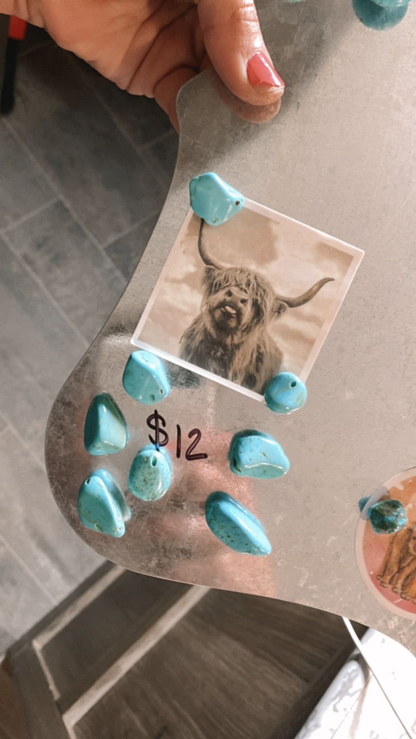 Turquoise magnets