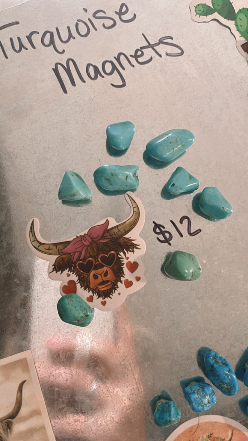 Turquoise magnets